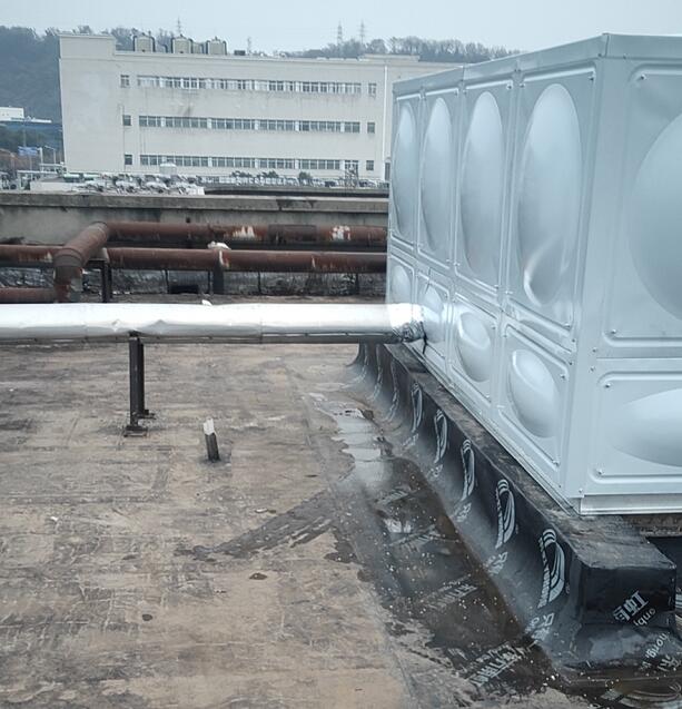 南京新百药业完工图